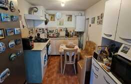 Casa 3 camere, 720 mp teren, zona Somesului