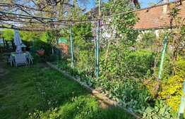 Casa 3 camere, 720 mp teren, zona Somesului