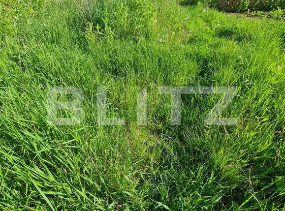 Casa de vânzare 3 camere Floreşti - 86477CV | BLITZ Cluj-Napoca | Poza7