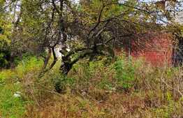 Teren intravilan 800 mp la Belis, cu Cabana pe el.