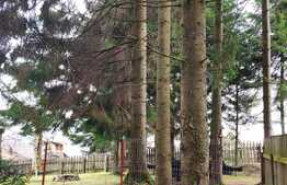 Teren intravilan 800 mp la Belis, cu Cabana pe el.