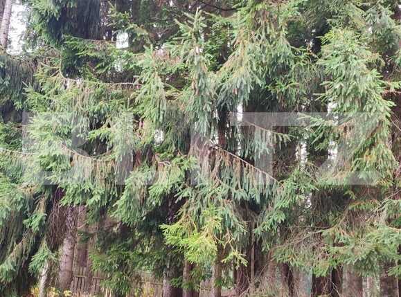 Teren de vânzare Exterior Vest - 86486TV | BLITZ Cluj-Napoca | Poza3