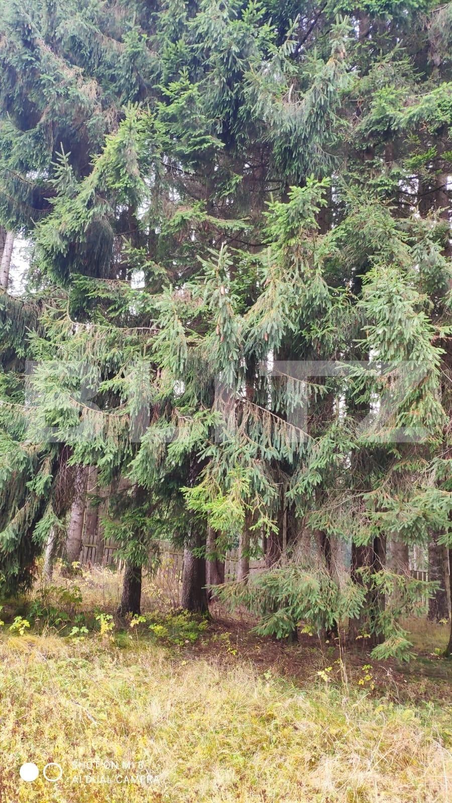 Teren de vânzare Exterior Vest - 86486TV | BLITZ Cluj-Napoca | Poza3