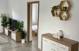 Apartament modern de 2 camere, 54 mp, zona Donath Park