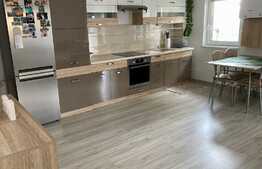 Apartament modern de 2 camere, 54 mp, zona Donath Park