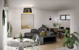 Case insiruite, 4 camere, 100 mp, in Colonie Bod