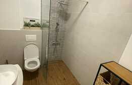 Apartament deosebit in Andrei Muresanu! 2 camere decomandate, etaj intermediar, terasa, garaj