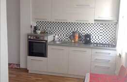 Apartament cu 2 camere, 45 mp, mobilat modern, zona Iulius Mall