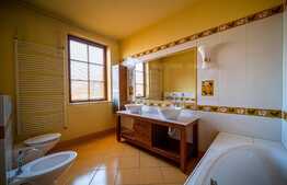 Vila superba, 416 mp, 912 mp teren, zona Hasdeu