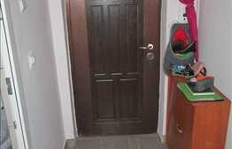 Vanzare apartament 1 camera,  42.31 mp utili, zona Vanatorilor, cu boxa