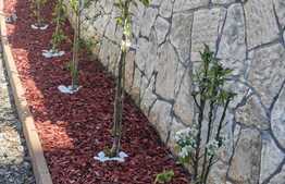 Casa individuala, 200 mp, 5 camere,  zona Grigorescu, ideal sediu firma