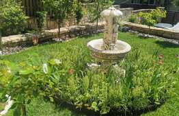 Casa individuala, 200 mp, 5 camere,  zona Grigorescu, ideal sediu firma