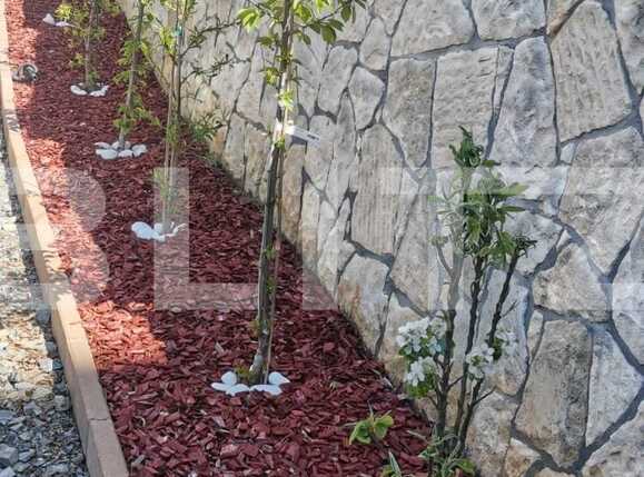 Spațiu birouri de închiriat Grigorescu - 86640SIB | BLITZ Cluj-Napoca | Poza7