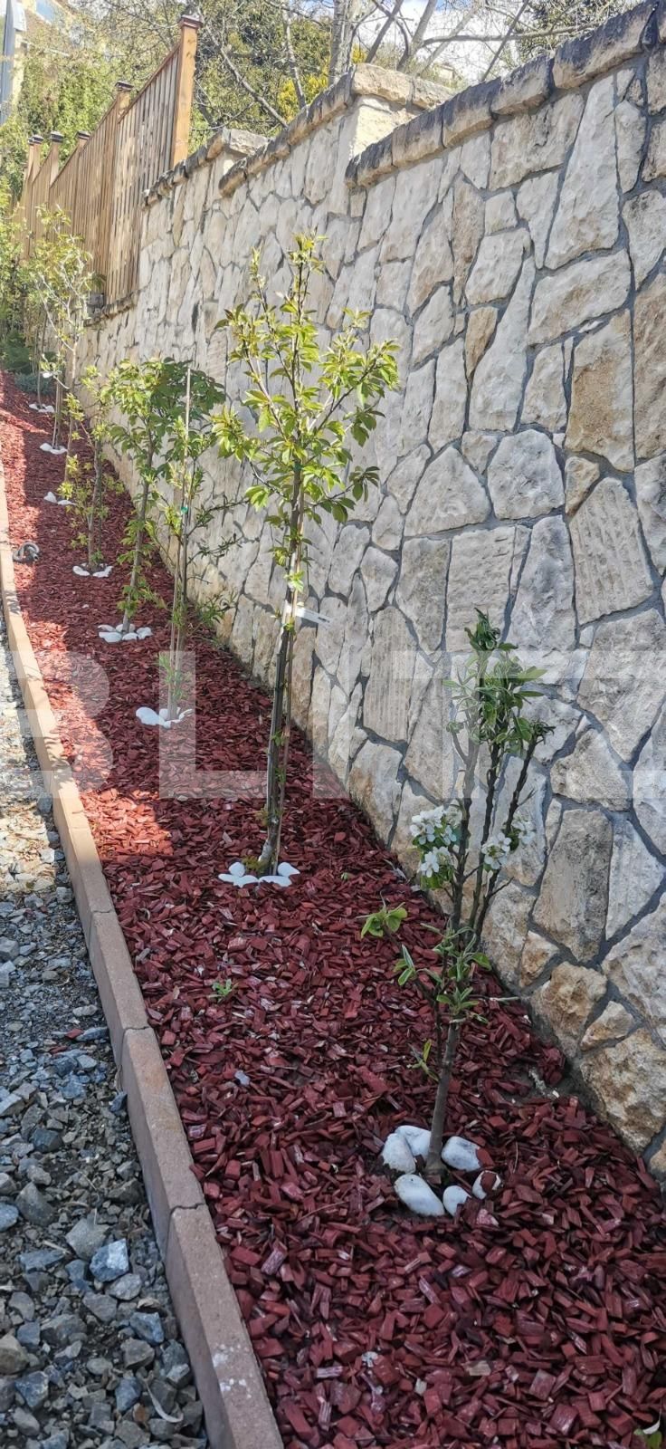 Spațiu birouri de închiriat Grigorescu - 86640SIB | BLITZ Cluj-Napoca | Poza7