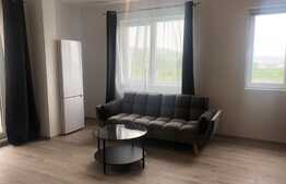 Apartament 3 camere, garaj, terasa, zona Vivo