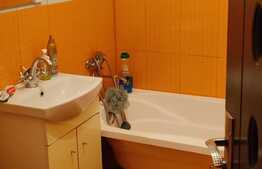 Garsoniera de 33 mp, etaj intermediar, zona Eroilor