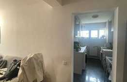 Apartament 2 camere, 55 mp, pet friendly, zona Piata Flora