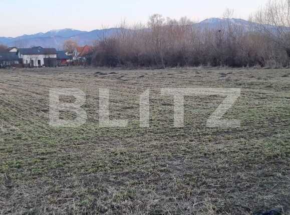 Teren de vânzare Stupini - 86687TV | BLITZ Brașov | Poza3