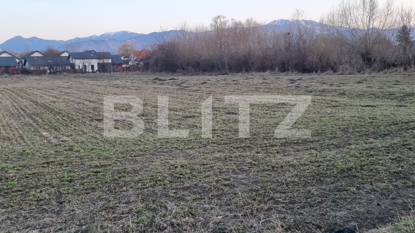 Teren de vânzare Stupini - 86687TV | BLITZ Brașov | Poza3