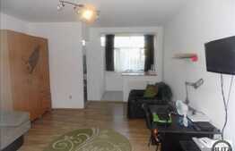 Apartament 1 camera, 30 mp utili, zona strazii Constantin Brancusi