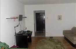 Apartament 1 camera, 30 mp utili, zona strazii Constantin Brancusi