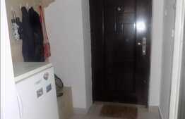 Apartament 1 camera, 30 mp utili, zona strazii Constantin Brancusi