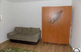 Apartament 1 camera, 30 mp utili, zona strazii Constantin Brancusi