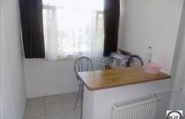 Apartament 1 camera, 30 mp utili, zona strazii Constantin Brancusi