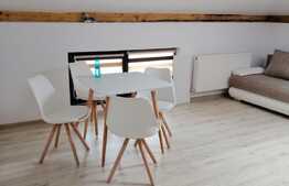 Apartament 2 camere, 42 mp, zona Tautiului
