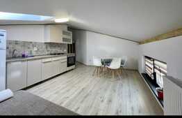 Apartament 2 camere, 42 mp, zona Tautiului