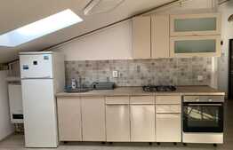 Apartament 2 camere, 42 mp, zona Tautiului