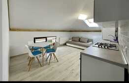 Apartament 2 camere, 42 mp, zona Tautiului