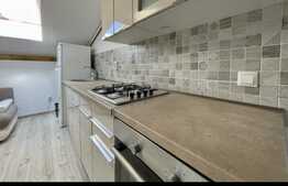 Apartament 2 camere, 42 mp, zona Tautiului