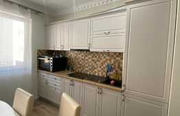 Apartament de 2 camere, pet friendly, Record Park