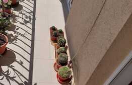 Garsoniera spatioasa, 40 mp, zona Florilor