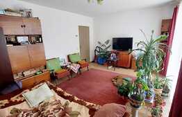 Garsoniera spatioasa, 40 mp, zona Florilor