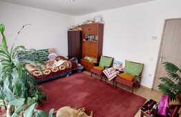 Garsoniera spatioasa, 40 mp, zona Florilor