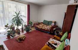 Garsoniera spatioasa, 40 mp, zona Florilor