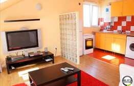 Apartament 2 camere de inchiriat, 55 mp utili