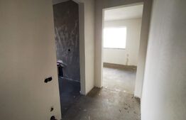 Apartament 2 camere, 47 mp, AC, zona Teilor 