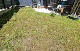 Apartament cu gradina, beci, parcare, acces restrictionat, zona Cetatii