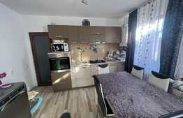 Casa cocheta, pe plan parter, 3 camere, 100 mp, in Bartolomeu