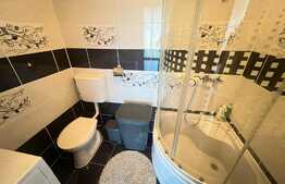 Casa cocheta, pe plan parter, 3 camere, 100 mp, in Bartolomeu