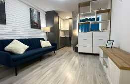 Garsonieră, 24,8 mp, modernă, etaj 1, zona Centrul Istoric