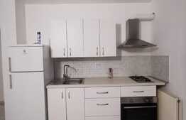 2 camere, 55 mp, decomandat, mobilat modern, zona UMF