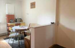 Apartament cu 2 camere, 50mp, et 1, Bld. Saturn