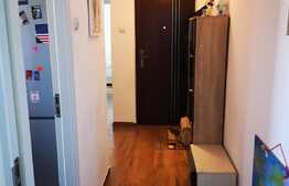 Apartament de 3 camere, zonă centrală, decomandat, Griviței