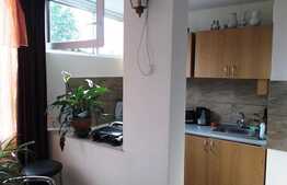 Garsonieră de 31 mp, etaj intermediar, zona Grigore Alexandrescu