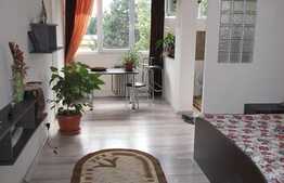 Garsonieră de 31 mp, etaj intermediar, zona Grigore Alexandrescu