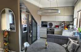 Casa tip duplex, 120 mp, 250 mp teren, zona Avram Iancu